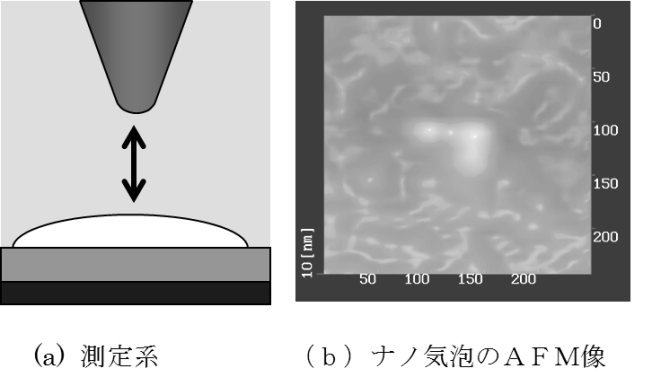 ナノ気泡のAFM像