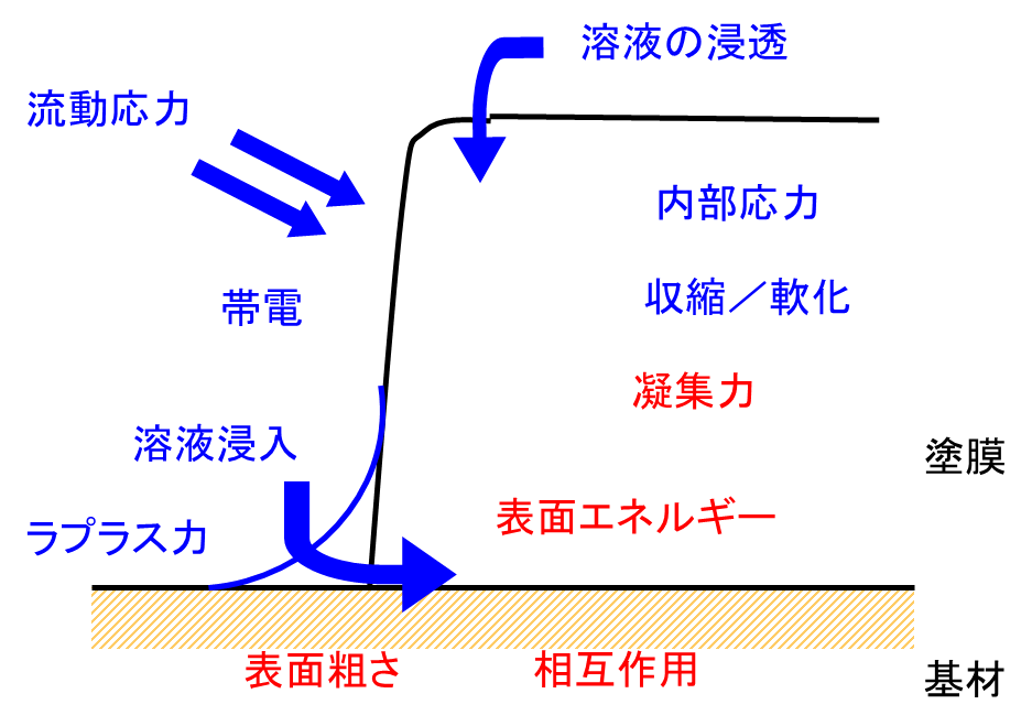 界面付着に関わる要因