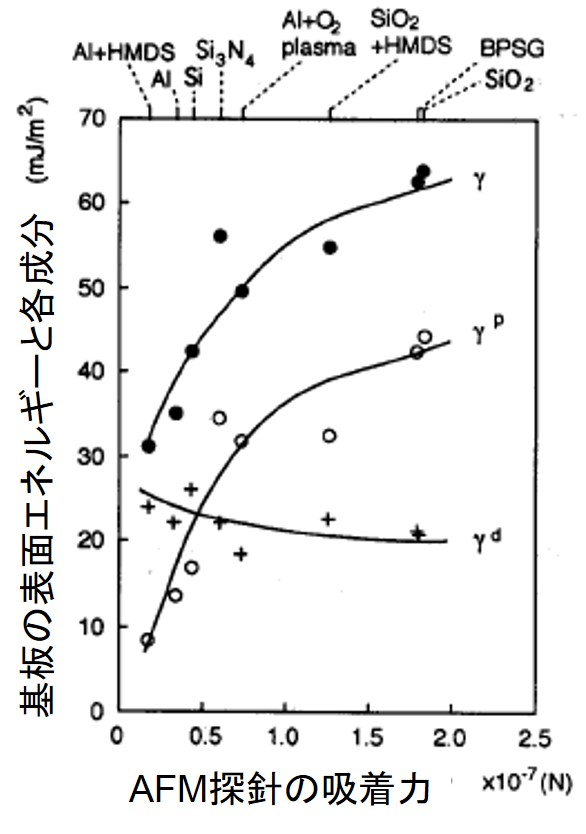 探針の吸着力と表面エネルギー成分との相関