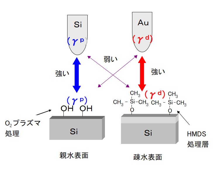 表面エネルギー成分により表した相互作用力解析