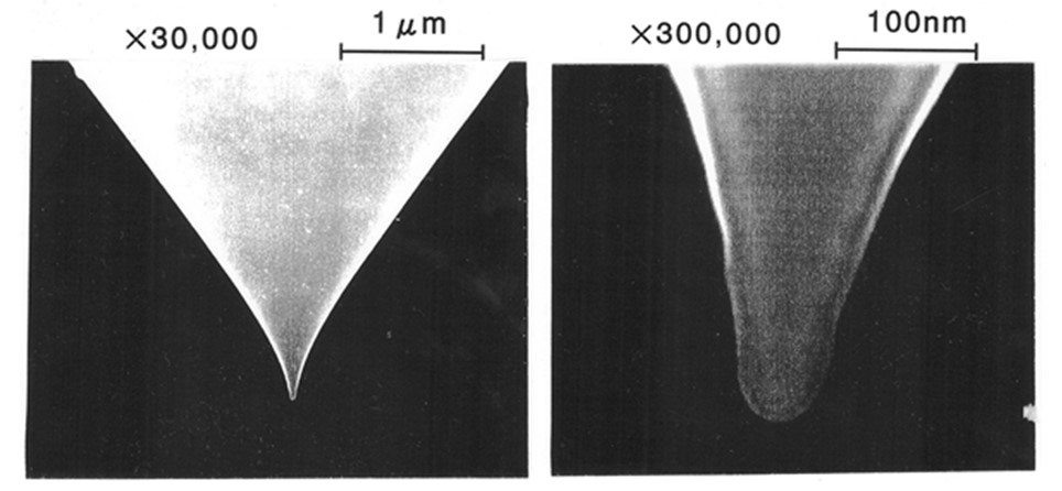 AFM探針のSEM写真