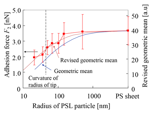 ＰＳＬ微粒子の半径とＡＦＭ探針の吸着力との関係