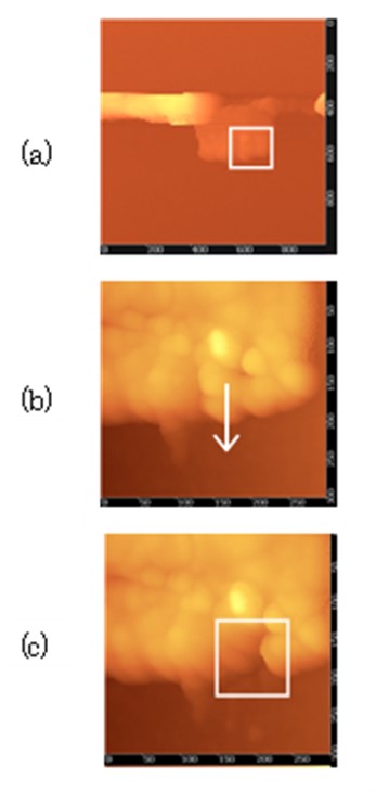 レジストパターンからの高分子集合体のナノマニピュレーション