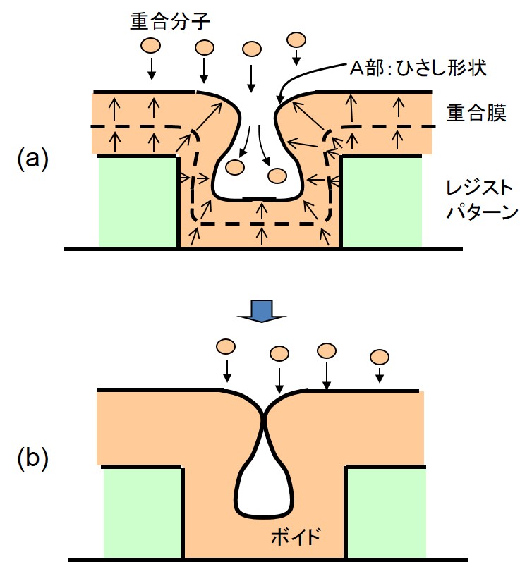 ボイド形成のメカニズム