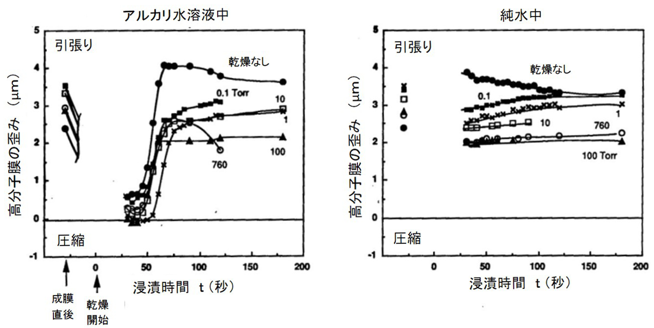 減圧乾燥（９０℃、２０分）した高分子膜の溶液中での内部応力変化