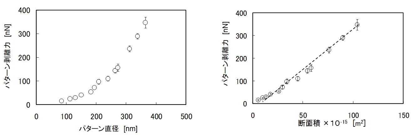 円筒形パターンの付着性のサイズ依存性