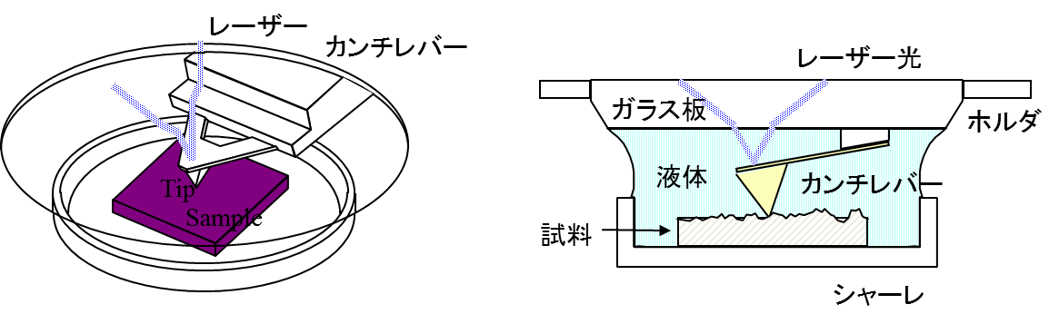 溶液中でのレジストパターンの付着力解析