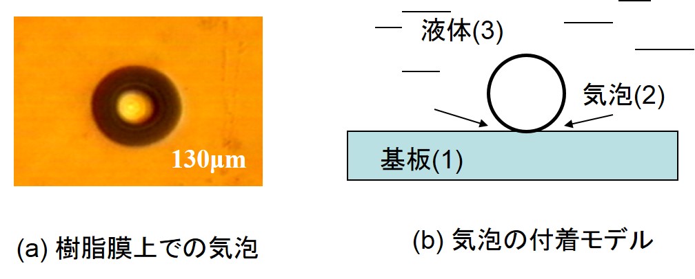 基板上に付着した純水中の微小気泡