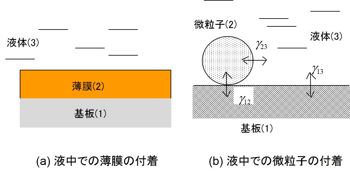 界面への溶液浸透モデル