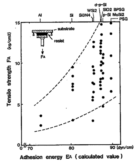 乾燥下での付着強度と表面エネルギーとの相関