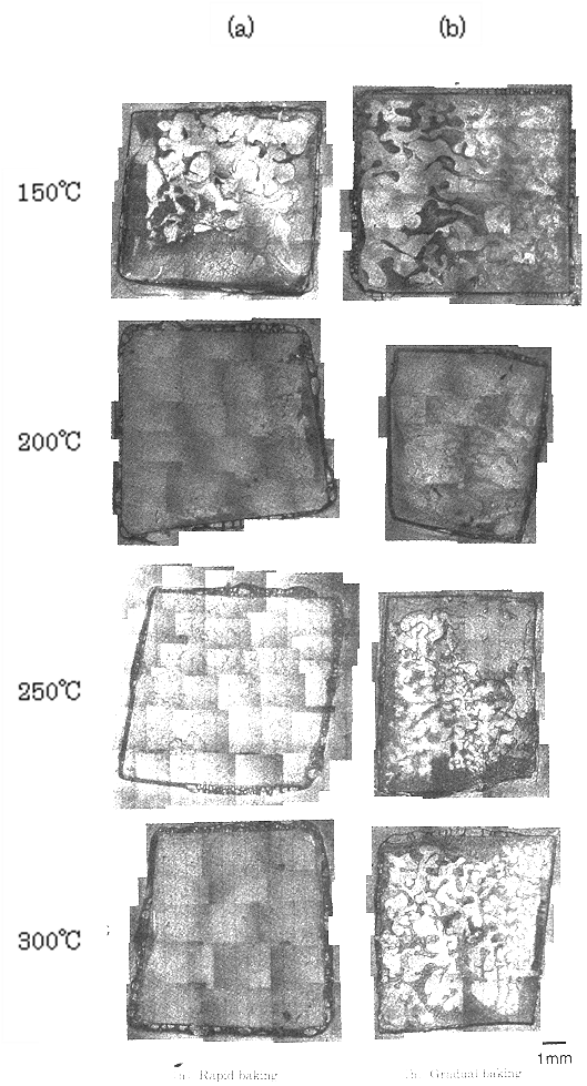 剥離試験後の破壊面の光学顕微鏡写真 (a)急速加熱, (b)段階加熱
