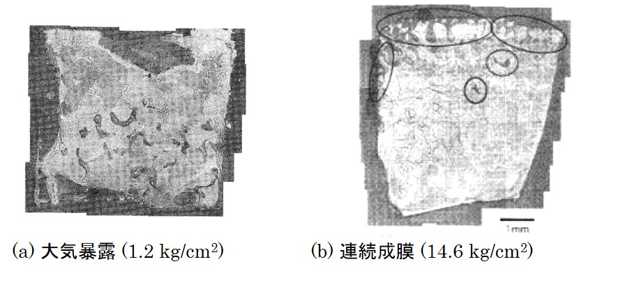 破壊後の付着表面の顕微鏡観