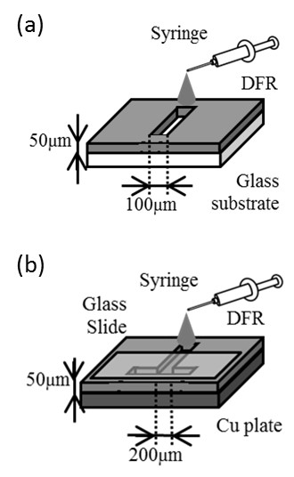 マイクロチャネルの構造図　(a)液滴の滴下　(b)液滴の注入
