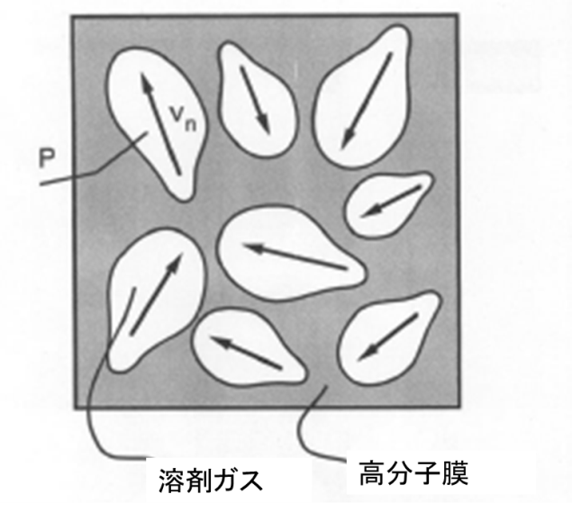 VFパターンの２次元成長モデル