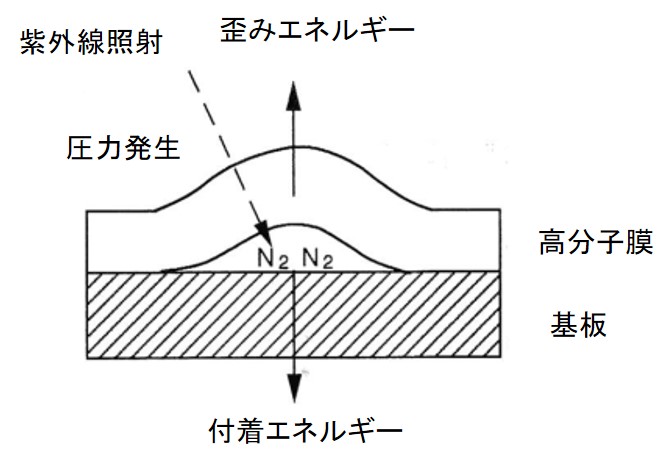 ポッピング発生モデル