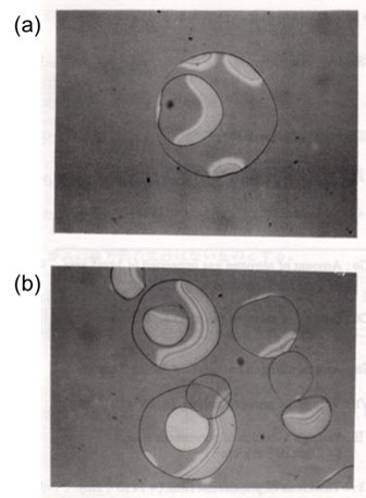 高分子膜内のボイド発生