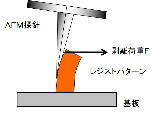 原子間力顕微鏡（ＡＦＭ）を用いたレジストパターンの付着力解析