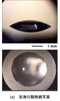 液滴の顕微鏡写真