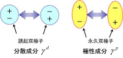 分子間相互作用に基づく分散、極性成分