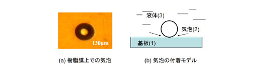 基板上に付着した純水中の微小気泡