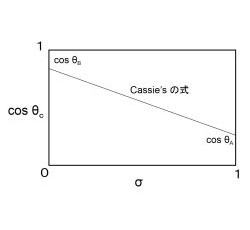 Cassieの式による面積比の計測