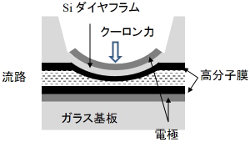 マイクロダイヤフラムの基本構造