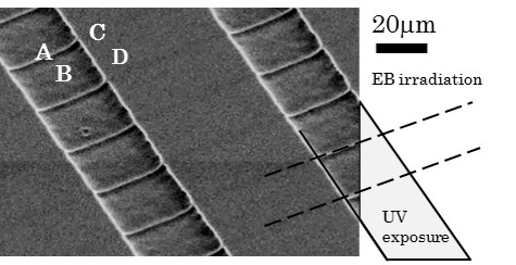 ポジレジスト膜中のネガパターン（SEM写真）
