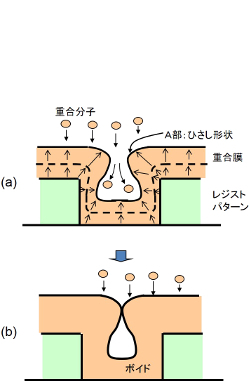 ボイド形成のメカニズム