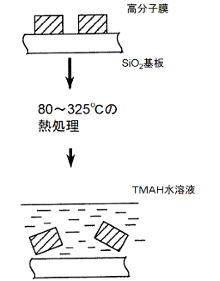 TMAH水溶液中での浸漬テストフロー