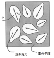 VFパターンの２次元成長モデル