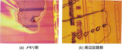 半導体デバイス基板上で生じたピンホール不良