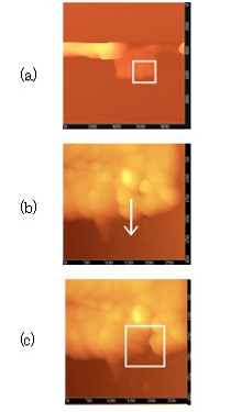 レジストパターンからの高分子集合体のナノマニピュレーション