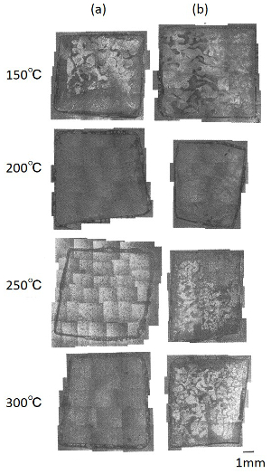 剥離試験後の破壊面の光学顕微鏡写真 (a)急速加熱, (b)段階加熱