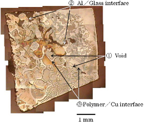 剥離後の基板表面の光学顕微鏡写真