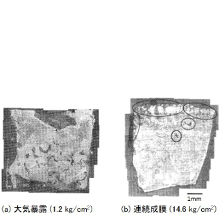 破壊後の付着表面の顕微鏡観察