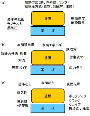 (a)乾燥方法 (b)乾燥による塗膜の物性変化 (c)塗布膜の品質