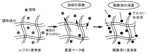 減圧乾燥による高分子膜でのアルカリ水溶液の浸透