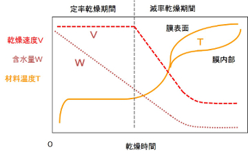 乾燥期間と乾燥速度