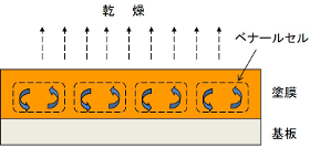 乾燥むらの形成モデル（ベナールセル）