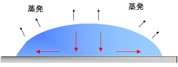 乾燥時の液滴内の対流