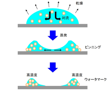 ウォータマークの形成モデル