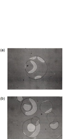 高分子膜内のボイド発生