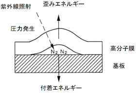 ポッピング発生モデル