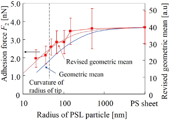 ＰＳＬ微粒子の半径とＡＦＭ探針の吸着力との関係