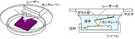 溶液中でのレジストパターンの付着力解析