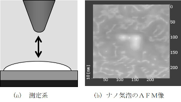 ナノ気泡のAFM像