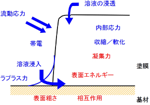 界面付着に関わる要因