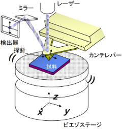 AFM装置の基本構成