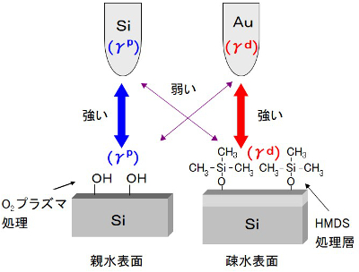 表面エネルギー成分により表した相互作用力解析