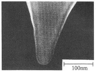 AFM探針の先端のSEM写真